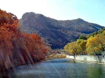 澳门天天彩期期精准平肖，东阳seo建站